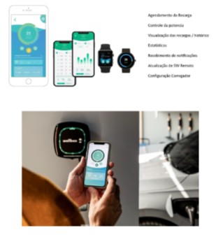 Electric Mobility Brasil